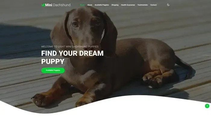 Screenshot of