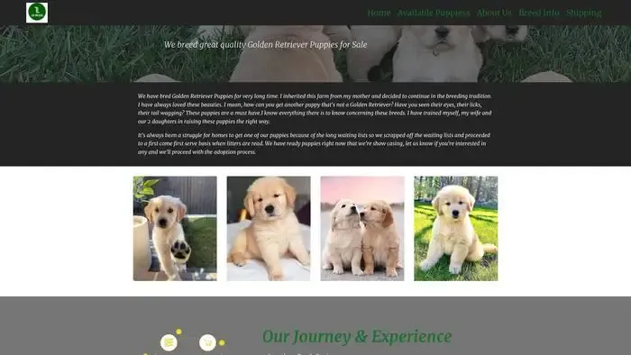 Screenshot of