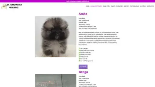 Screenshot of