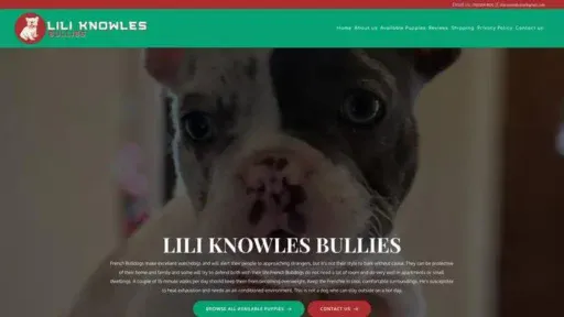 Screenshot of