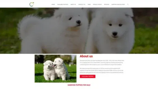 Screenshot of