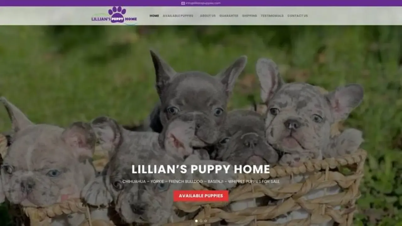 Screenshot of||