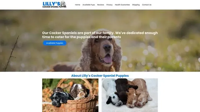 Screenshot of