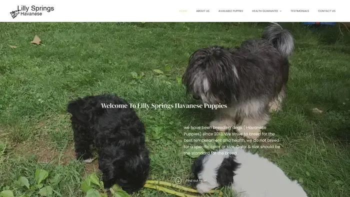 Screenshot of