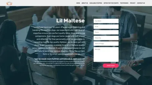 Screenshot of