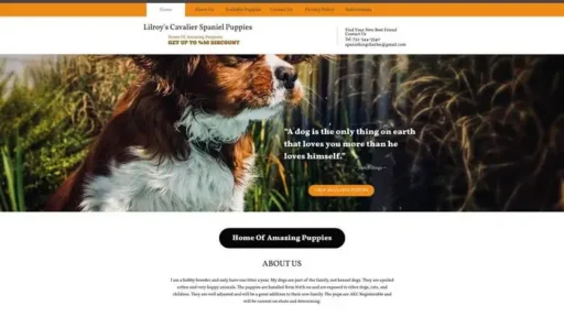 Screenshot of