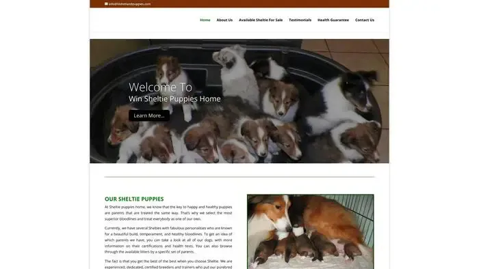 Screenshot of