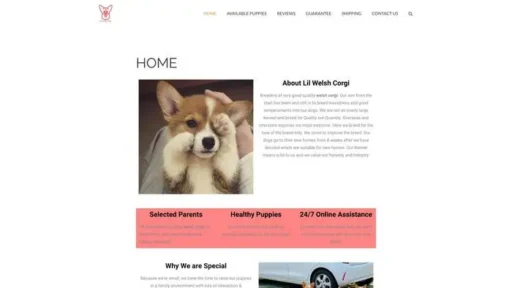 Screenshot of
