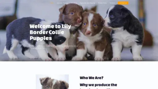 Screenshot of|