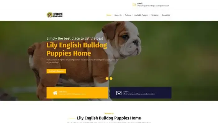 Screenshot of