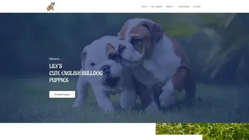 Screenshot of