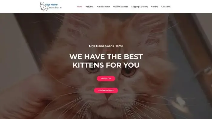 Screenshot of