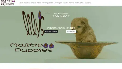 Screenshot of