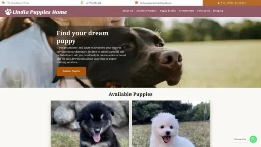 Screenshot of