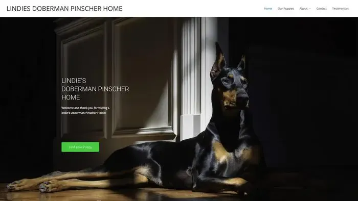 Screenshot of