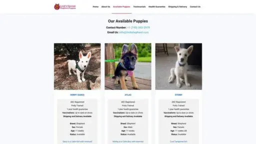 Screenshot of
