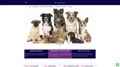 Screenshot of|
