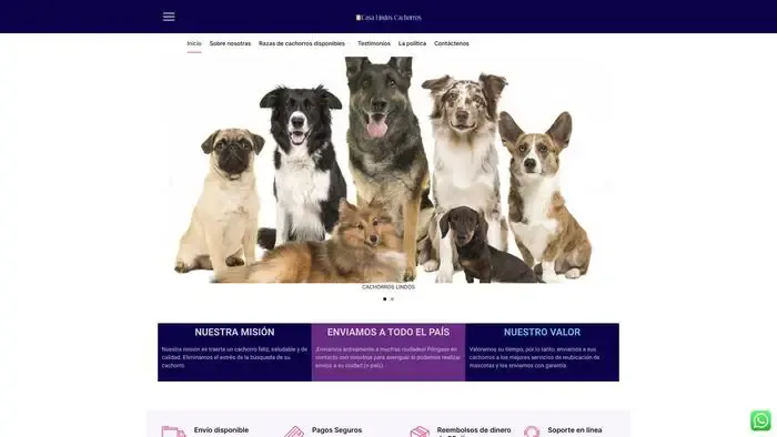 Screenshot of|