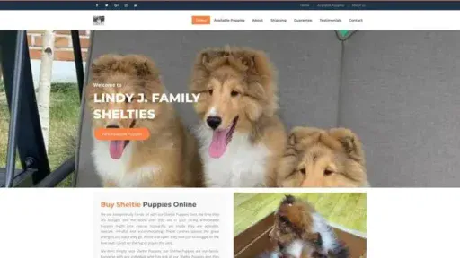 Screenshot of
