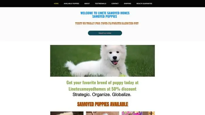 Screenshot of