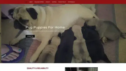 Screenshot of
