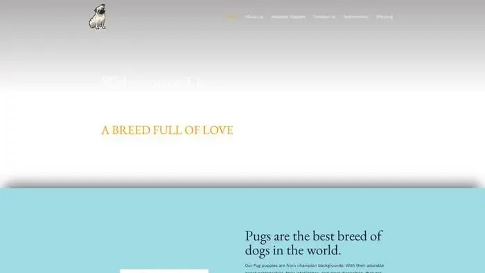 Screenshot of