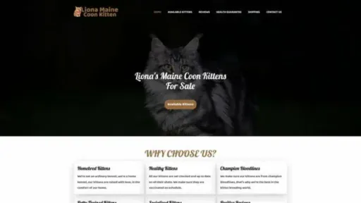 Screenshot of||