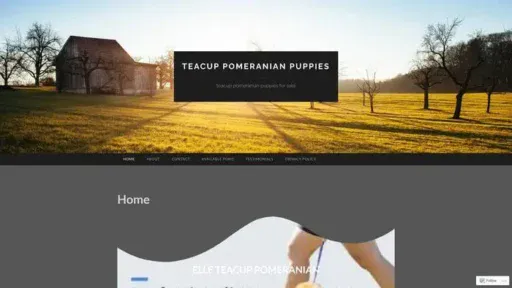 Screenshot of