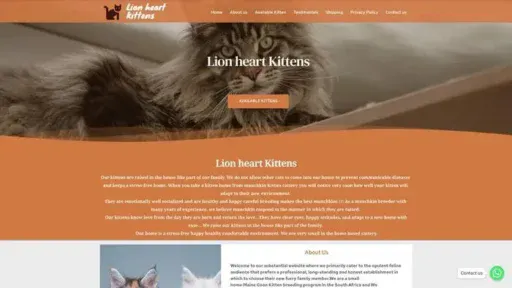 Screenshot of