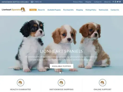 Screenshot of