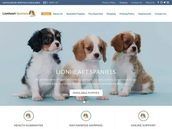 Screenshot of