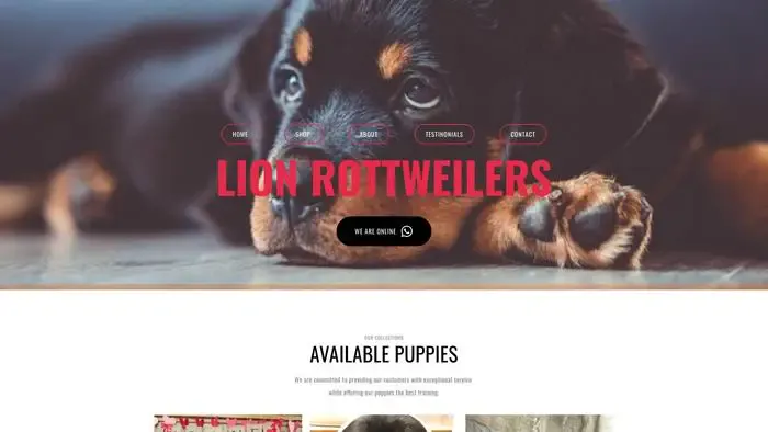 Screenshot of