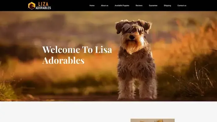 Screenshot of