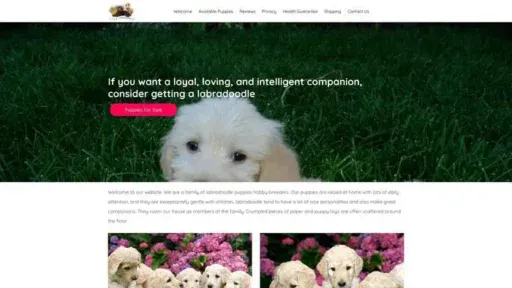 Screenshot of