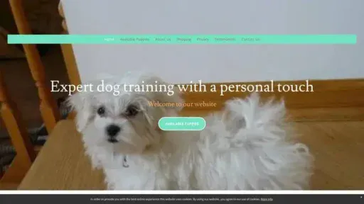 Screenshot of