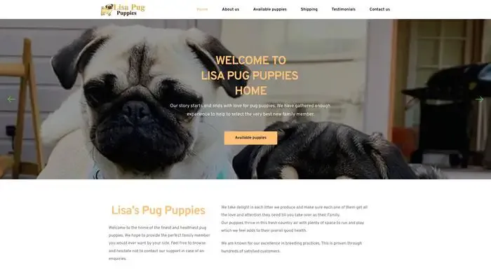 Screenshot of