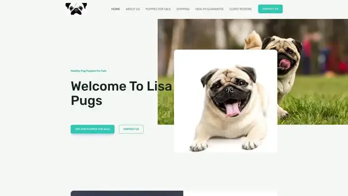 Screenshot of
