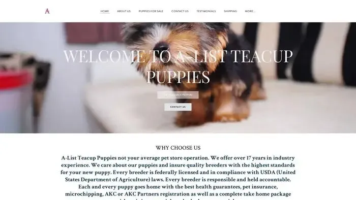 Screenshot of