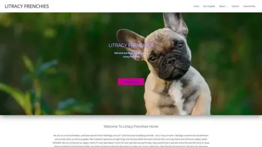 Screenshot of