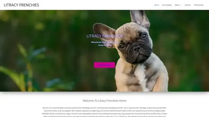 Screenshot of