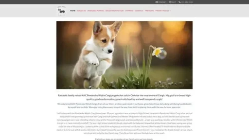 Screenshot of