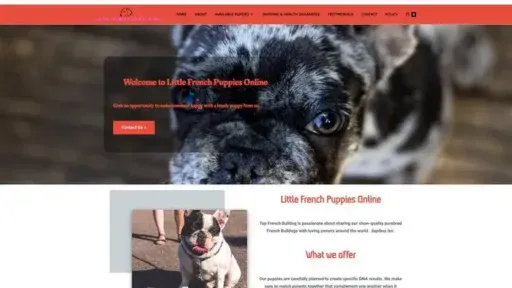 Screenshot of