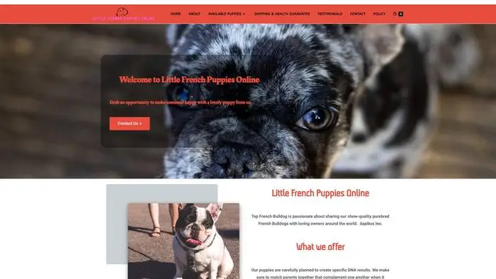 Screenshot of