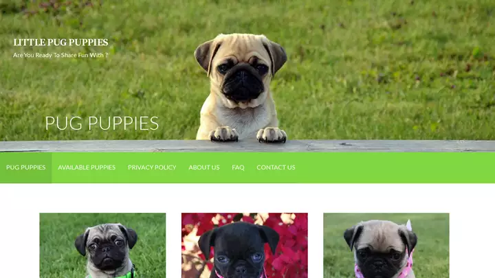 Screenshot of
