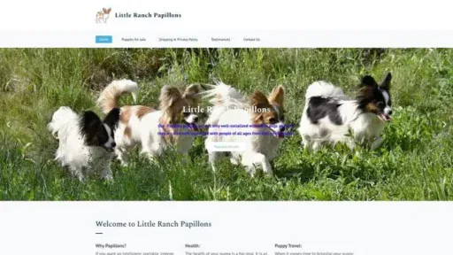 Screenshot of