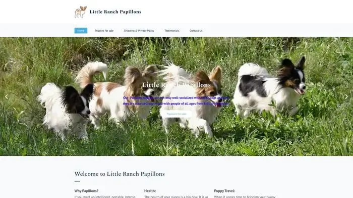 Screenshot of