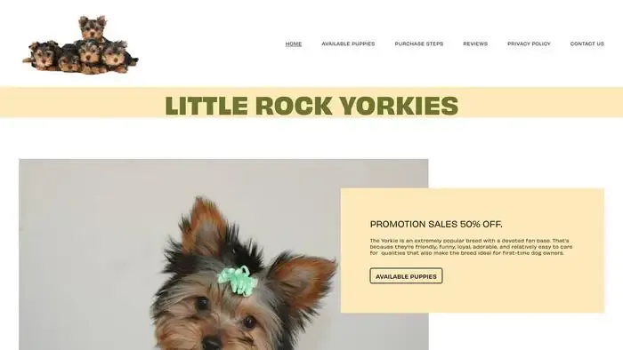 Screenshot of
