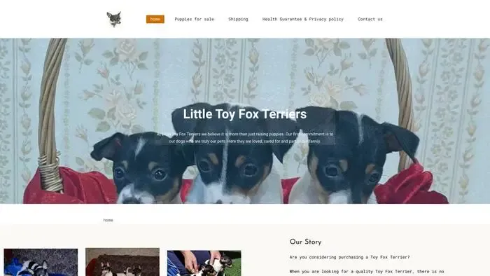 Screenshot of