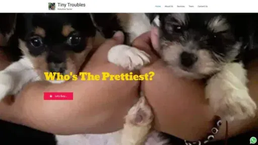 Screenshot of