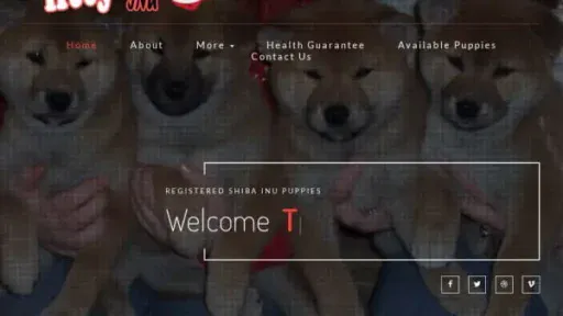 Screenshot of
